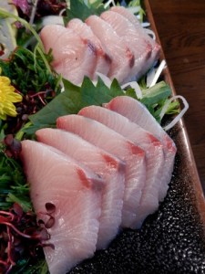 sashimi