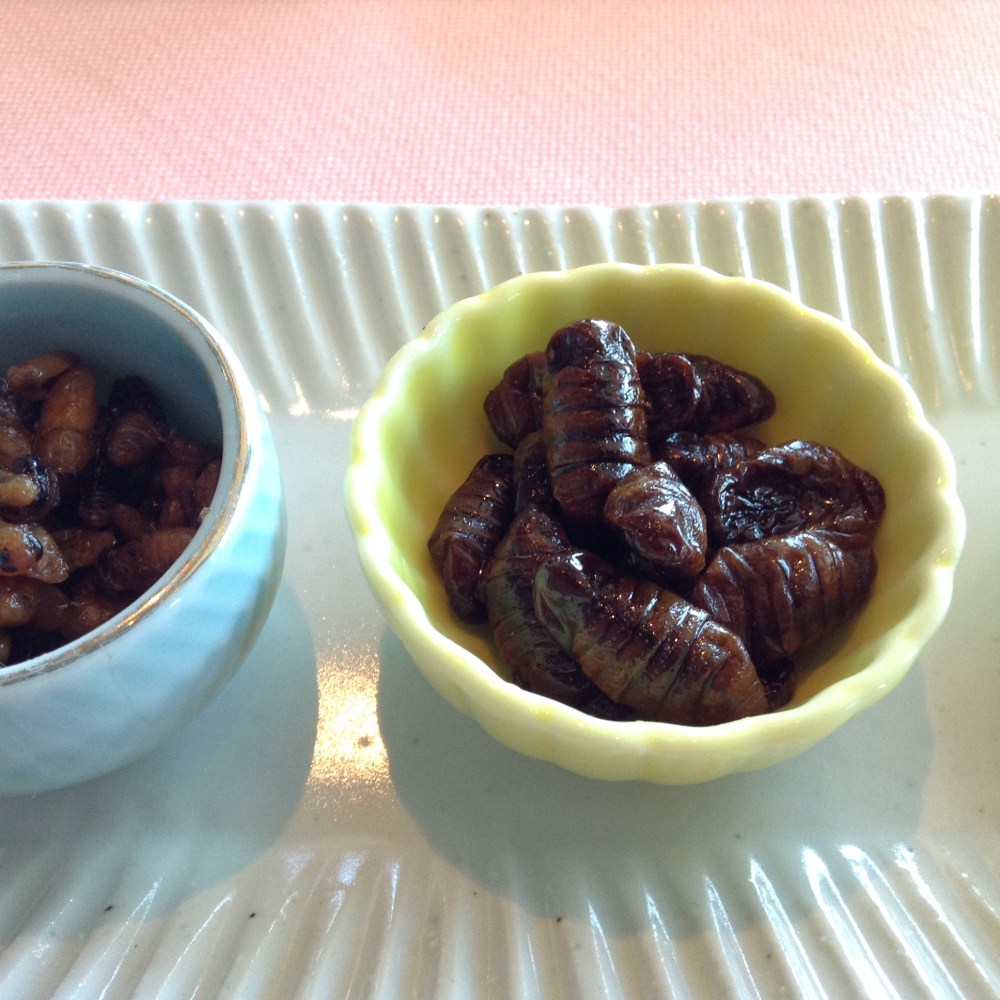 Kaiko no Sanagi (silkworm)