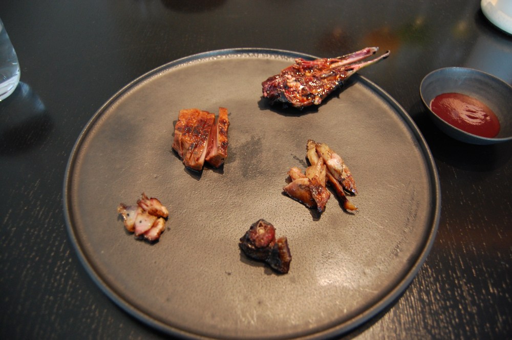 野生の鴨　マツブサの実