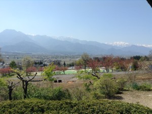 Azumino Okina Soba view