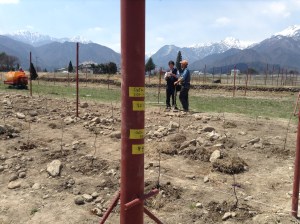 Yano-san of Vin d'Ohmachi