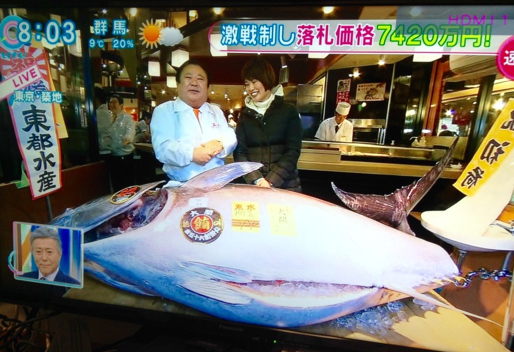 tsukiji-tuna-2017