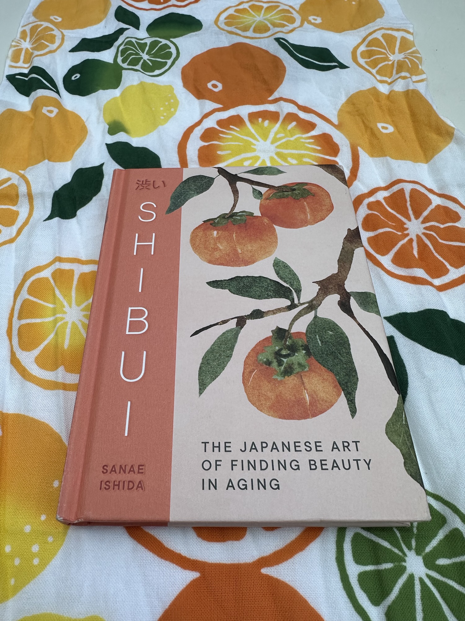 Shibui by Sanae Ishida